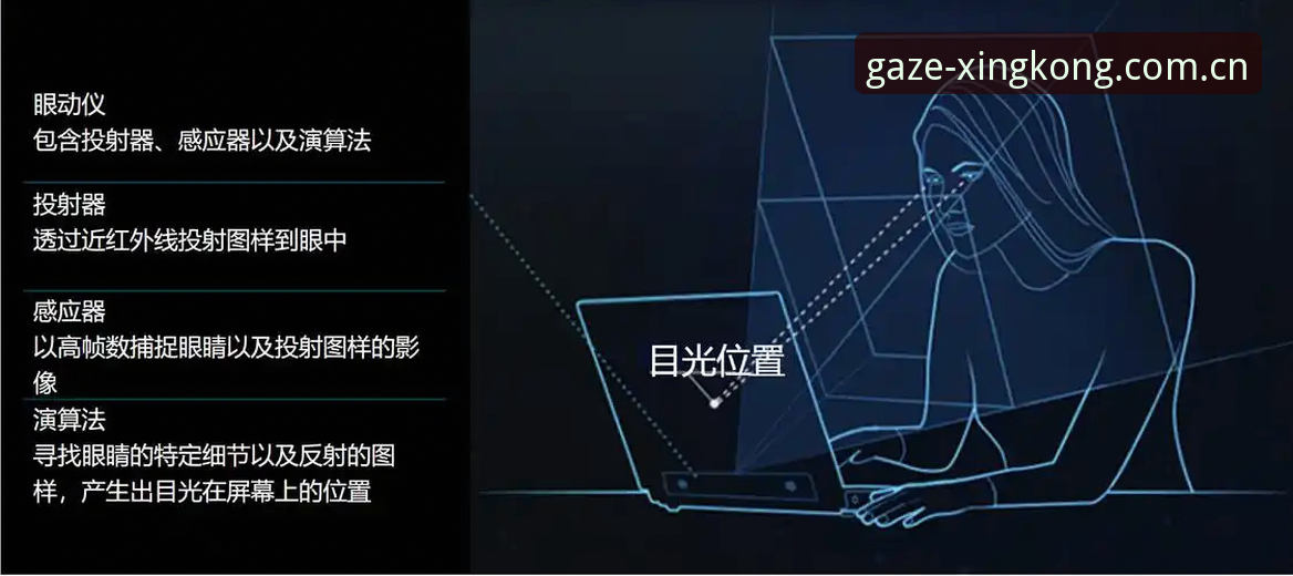 GS星空凝视入口2026最新版本 GS星空凝视入口2026最新版本:从